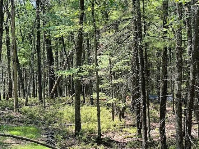 $25,900 | Lot 18 Hunczak Boulevard, Glen Spey, NY 12737