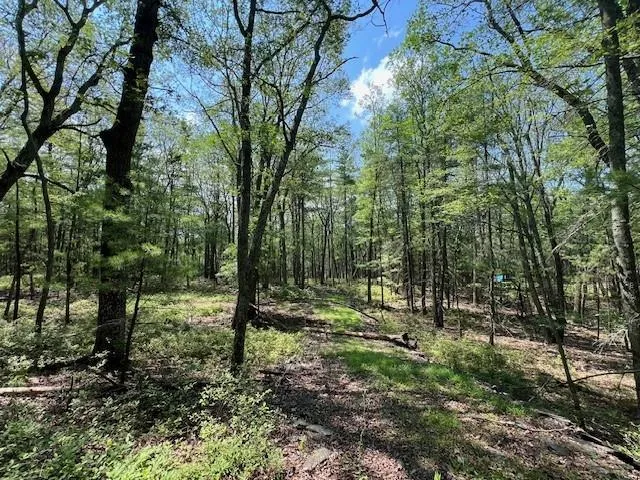 $25,900 | Lot 18 Hunczak Boulevard, Glen Spey, NY 12737
