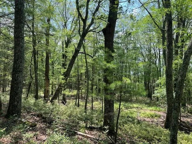 $25,900 | Lot 18 Hunczak Boulevard, Glen Spey, NY 12737