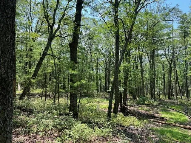 $25,900 | Lot 18 Hunczak Boulevard, Glen Spey, NY 12737