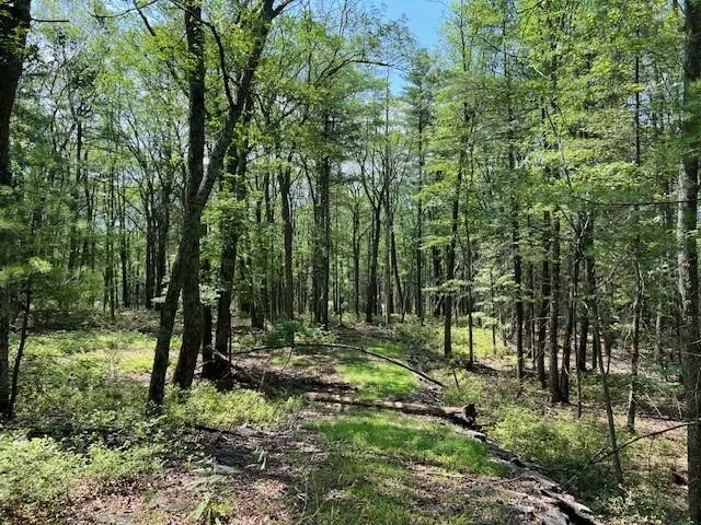 $25,900 | Lot 18 Hunczak Boulevard, Glen Spey, NY 12737