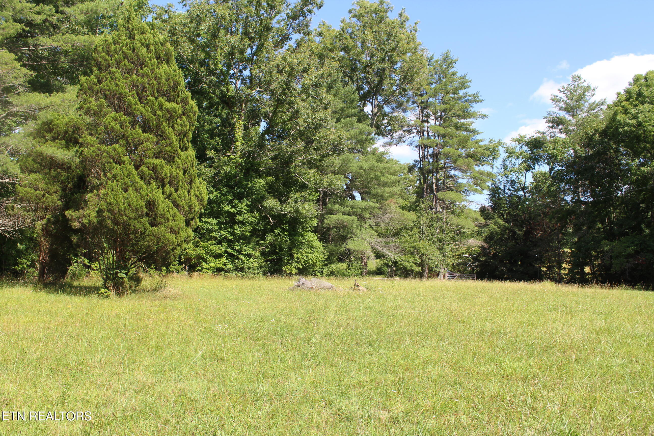 704 Annadel Road Lancing, TN 37770 - Photo 33 of 39 033