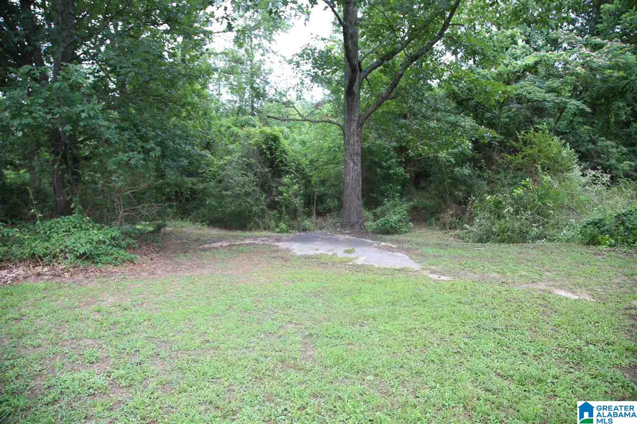 257 Avery Road Oneonta, AL 35121 - Photo 7 of 23