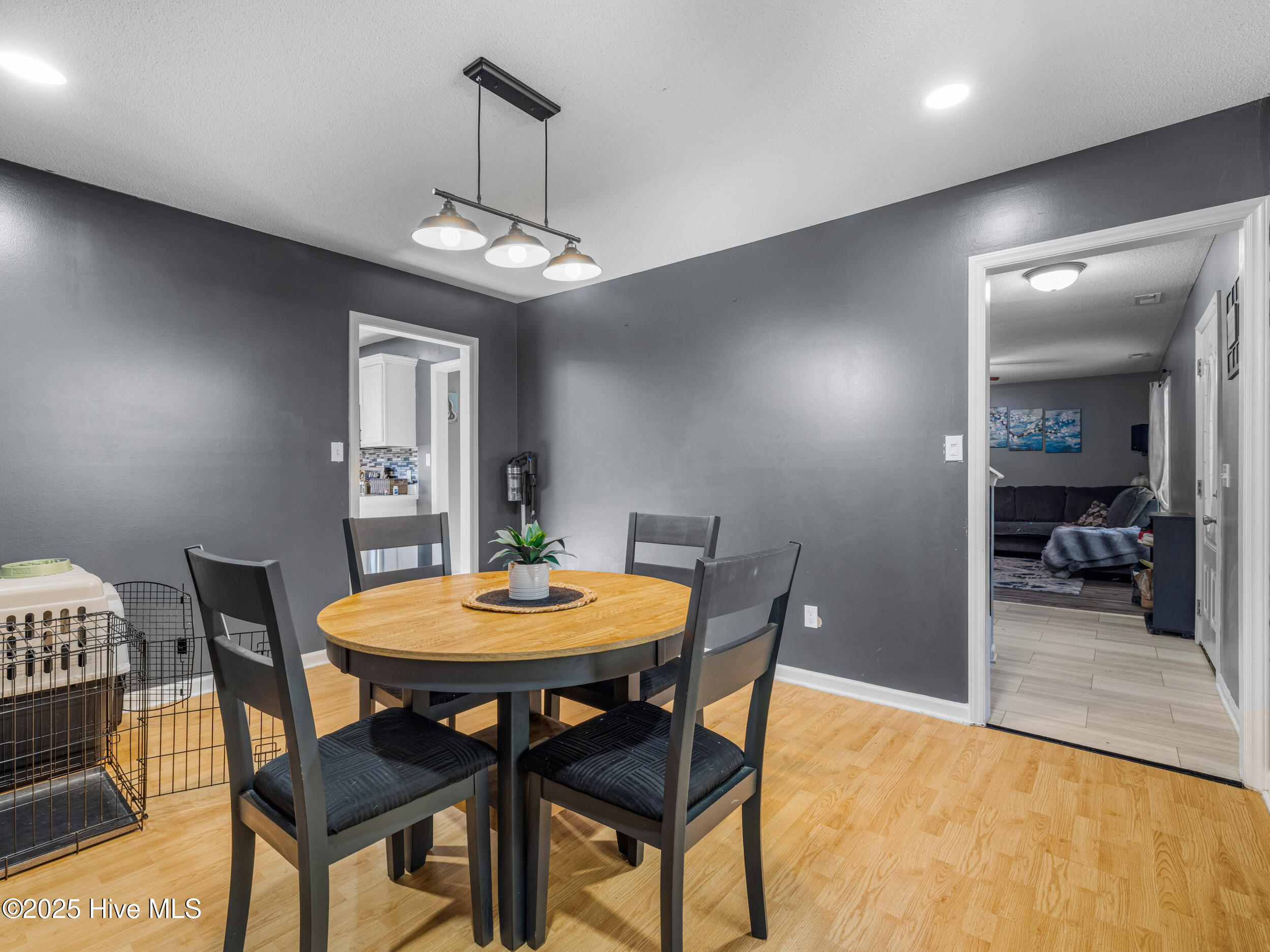 115 Marshall Farm Road Jacksonville, NC 28546 - Photo 10 of 51 025a0646