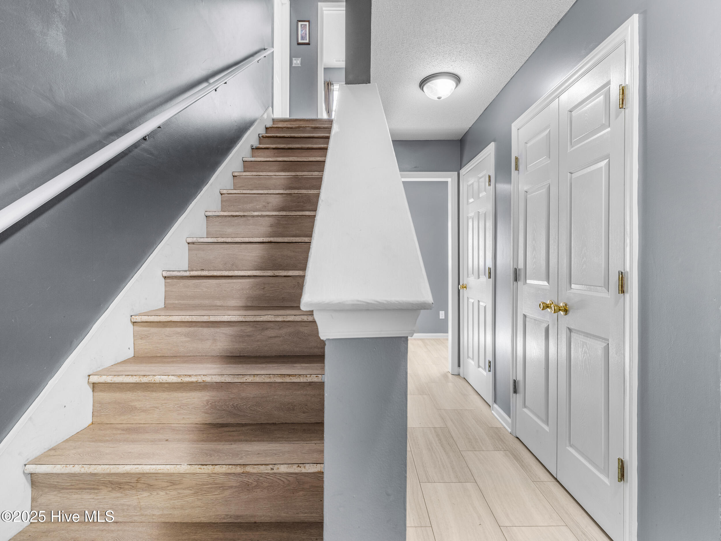 115 Marshall Farm Road Jacksonville, NC 28546 - Photo 22 of 51 025a0697