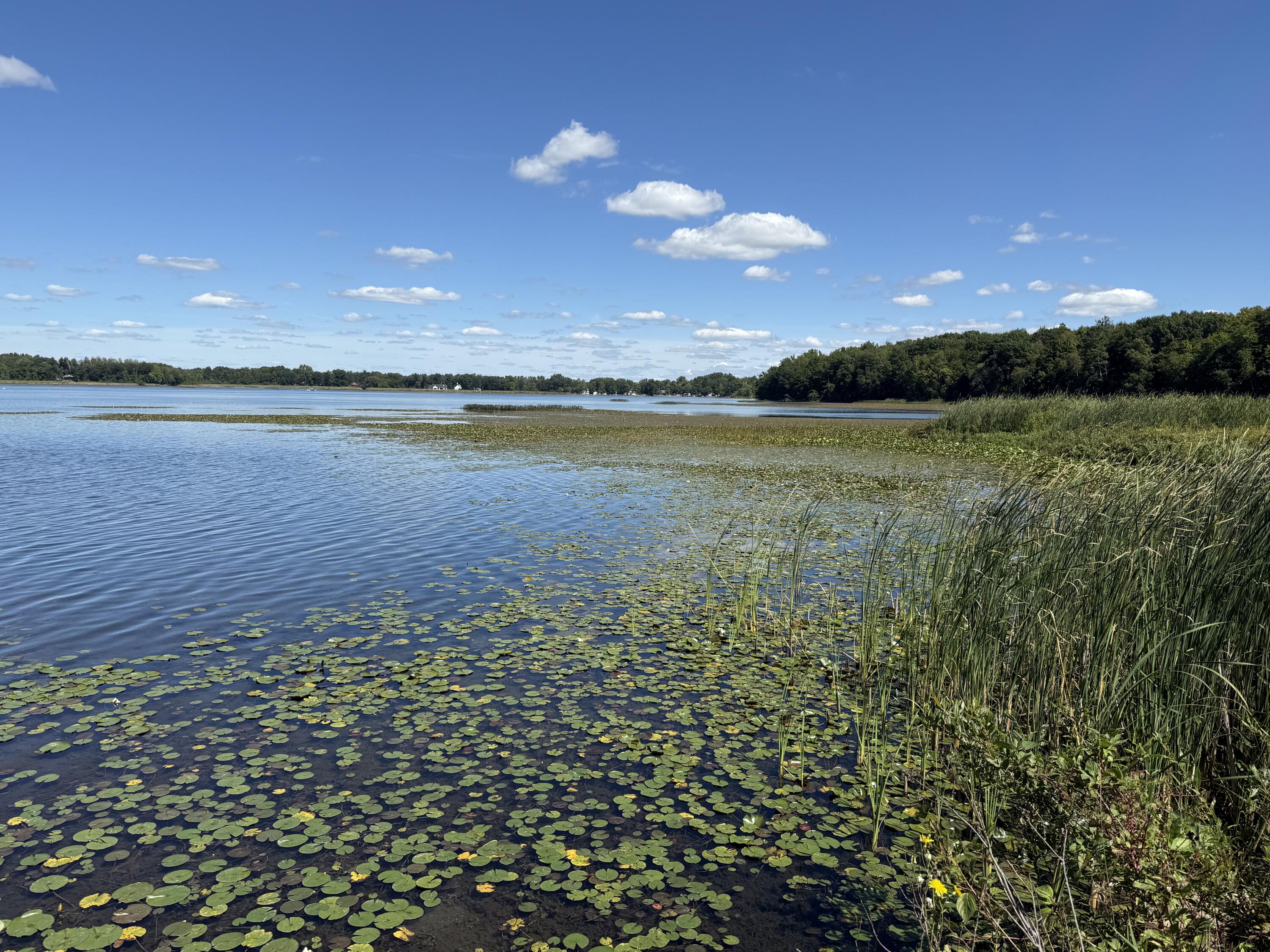 1960 Waterview Way Crystal, MI 48818 - Photo 26 of 28 IMG_9094
