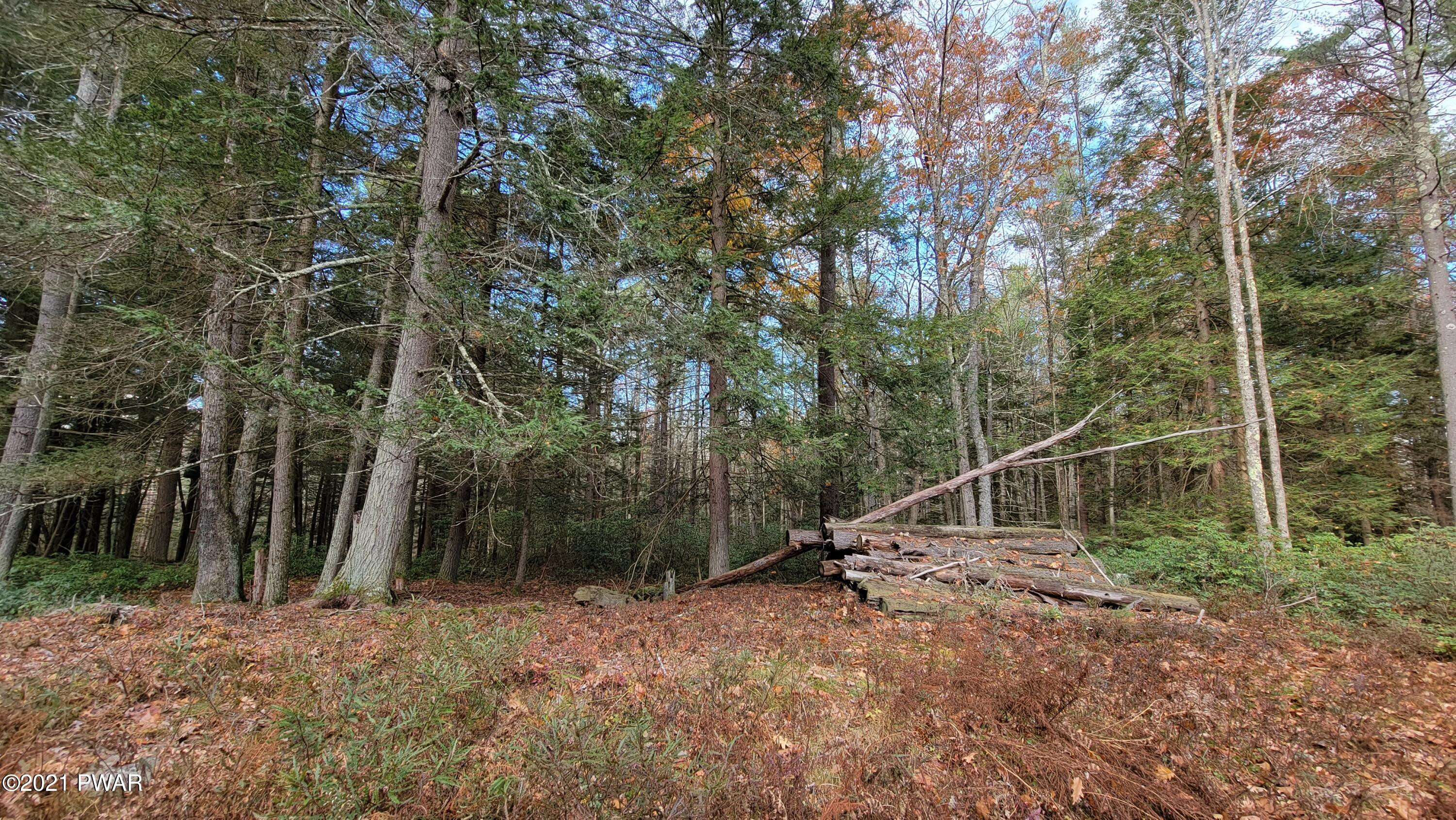 Lot 61 Perry Pond Road Narrowsburg, NY 12764 - Photo 13 of 19