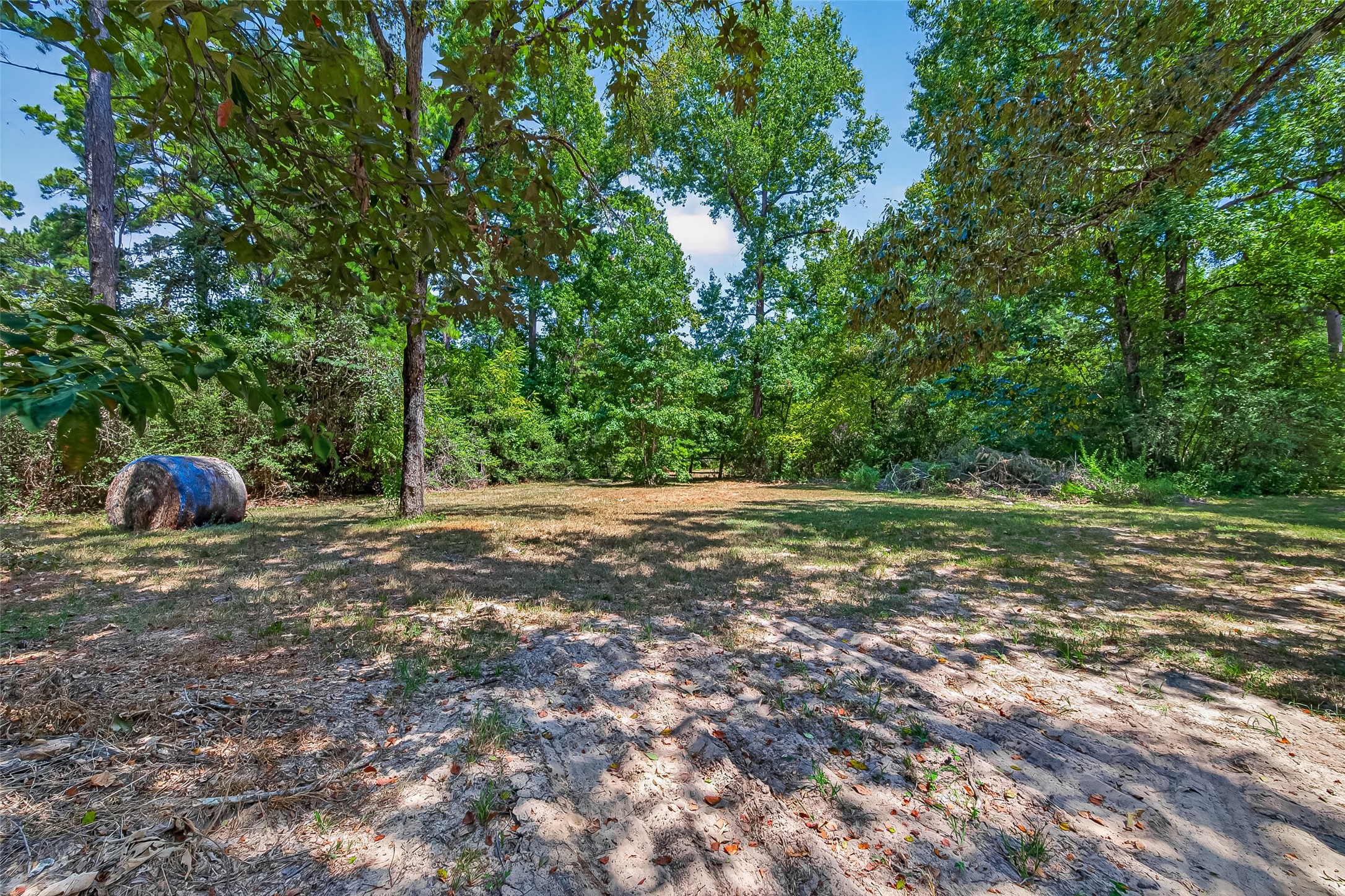 9846 Post Oak Cemetary Road Montgomery, TX 77356 - Photo 6 of 50 Gallery Image 6