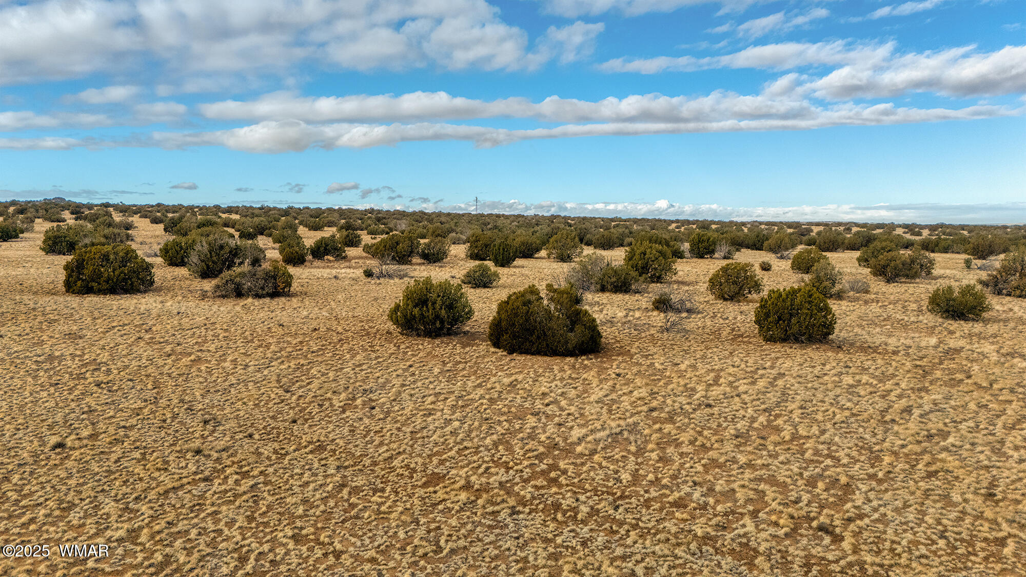 Tbd Shumway Road Taylor, AZ 85939 - Photo 6 of 8
