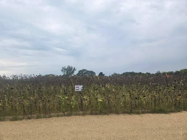 $85,000 | Lot 29 Ridge Point Estates, Mineral Point, WI 53565