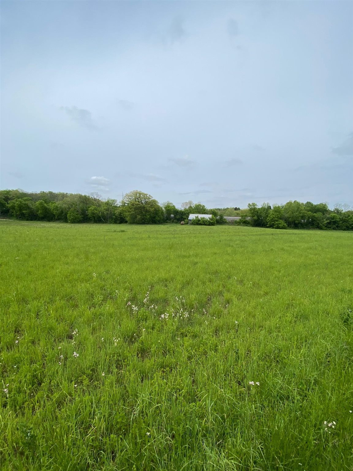 19.73-acre Elliston Mt Zion Road Dry Ridge, KY 41035 - Photo 1 of 9