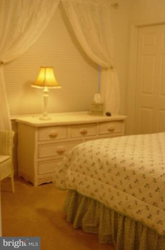 702 Runabout Loop, Unit V10 Solomons, MD 20688 - Photo 28 of 30 a view of an ocean