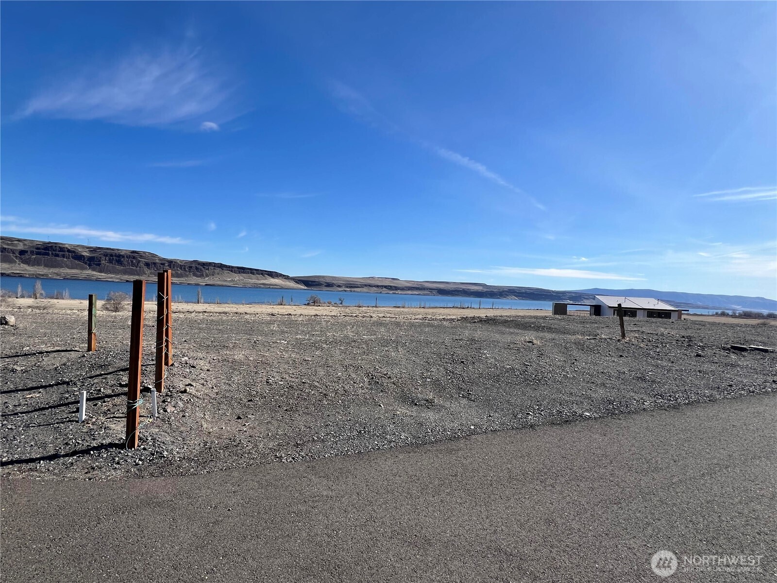 a view of a dry yard