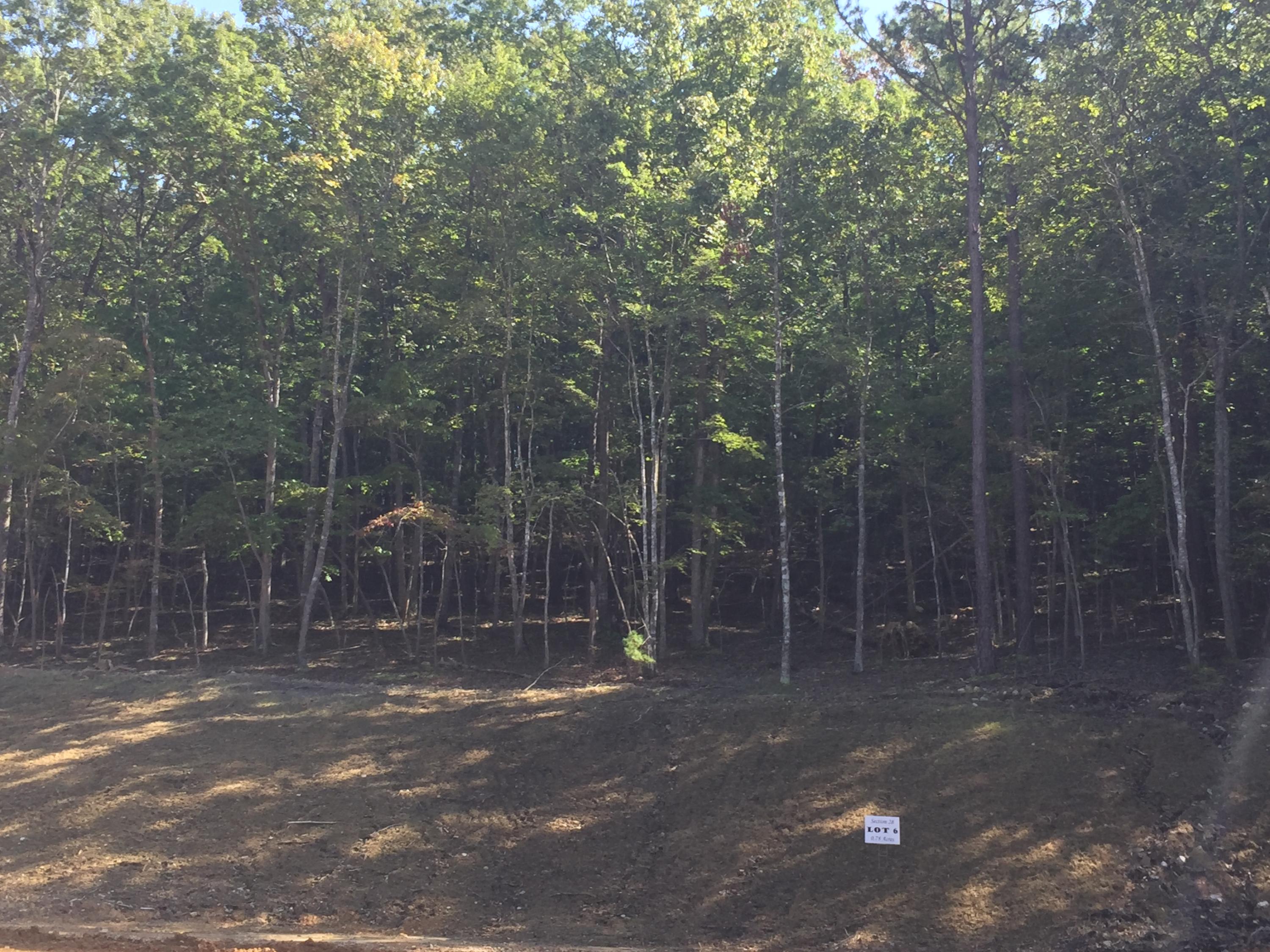 5590 Hunt Camp Road Roanoke, VA 24018 - Photo 14 of 15 a view of a basketball court