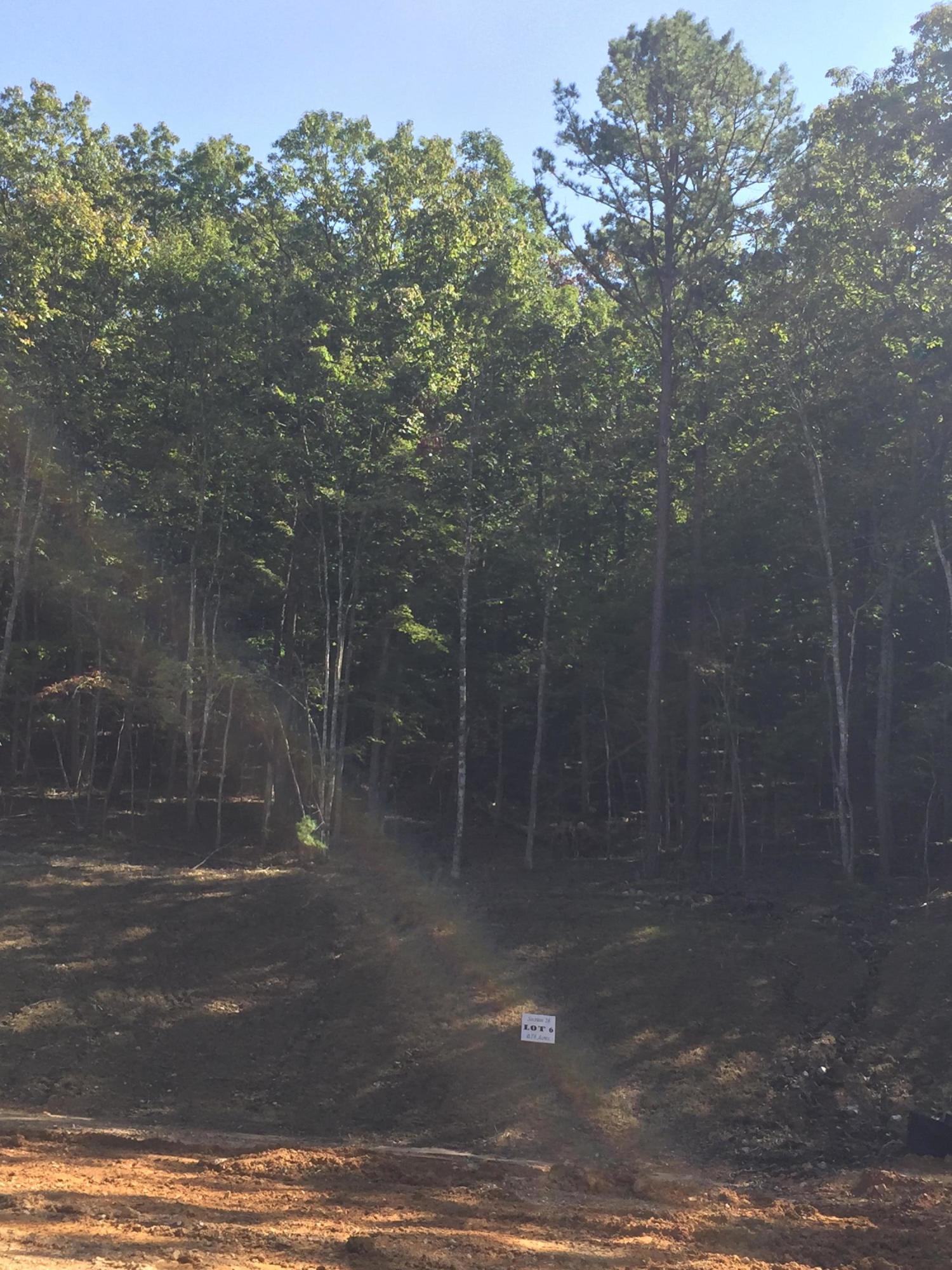 5590 Hunt Camp Road Roanoke, VA 24018 - Photo 15 of 15 a view of a forest