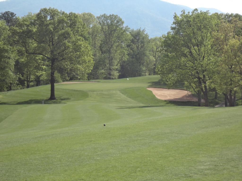 5590 Hunt Camp Road Roanoke, VA 24018 - Photo 8 of 15 a view of a field with trees