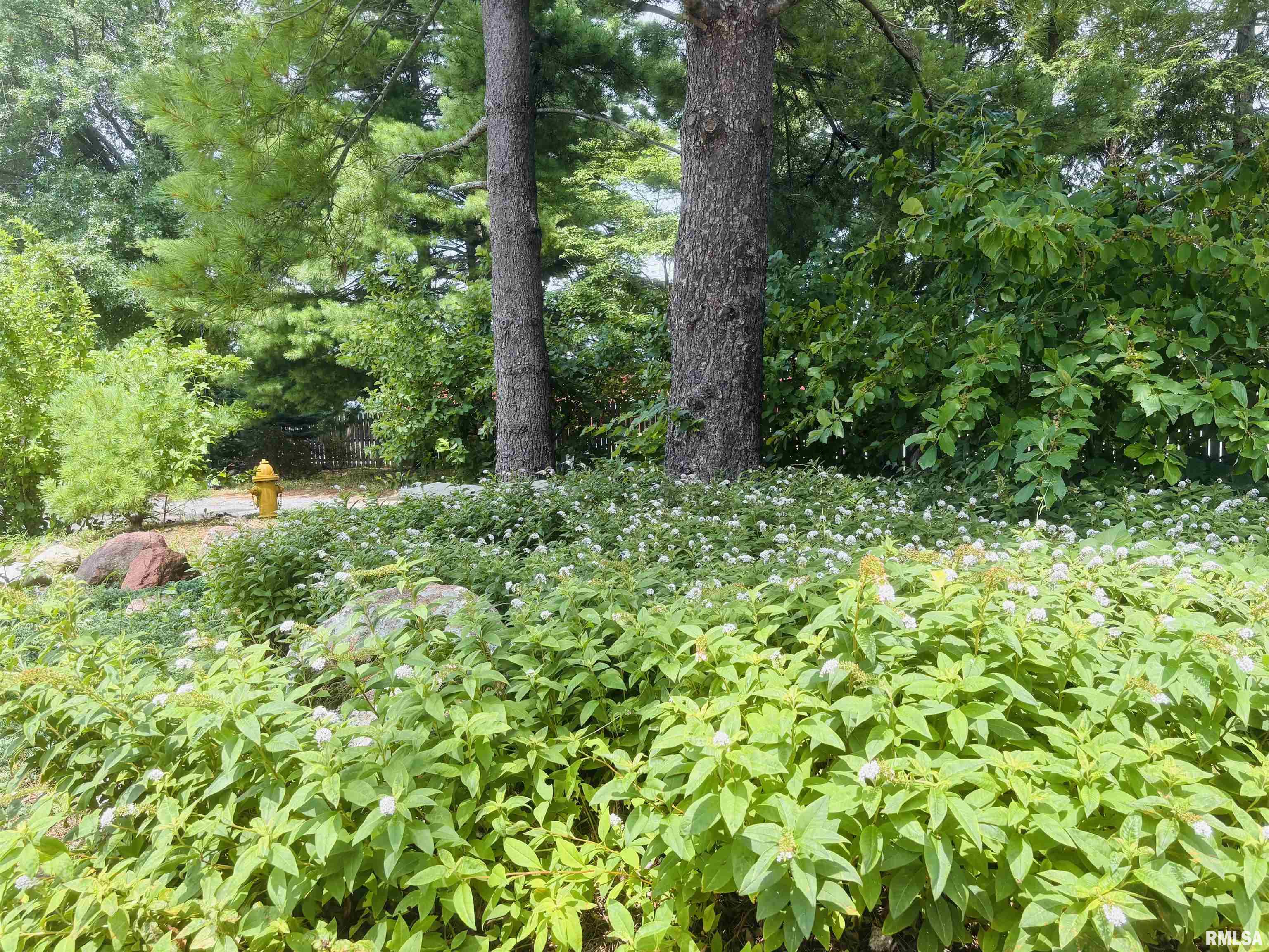 Undisclosed Address Jacksonville, IL 62650 - Photo 3 of 70