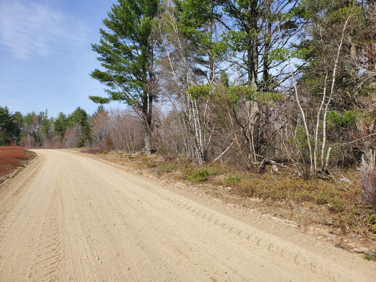 49 Spring Pond Road Deblois, ME 04622 - Photo 6 of 8 20220425_150508