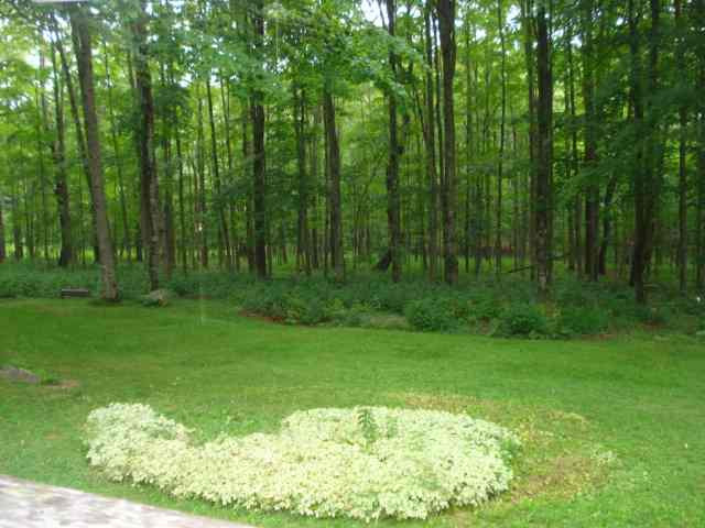 139 Gifford Road Westerlo, NY 12083 - Photo 2 of 12 Photo 2