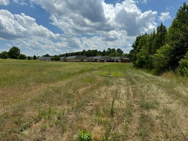a view of a yard in front of a house