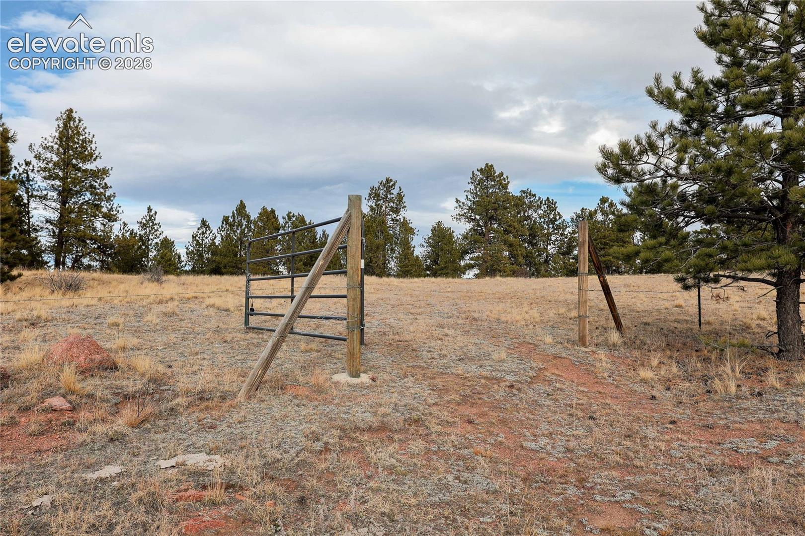 0 Twinkle Road Guffey, CO 80820 - Photo 11 of 20 Gallery Image 11