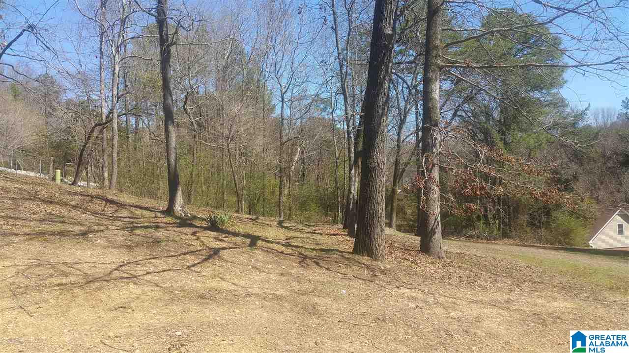 704 Forest View Trail Birmingham, AL 35215 - Photo 4 of 10