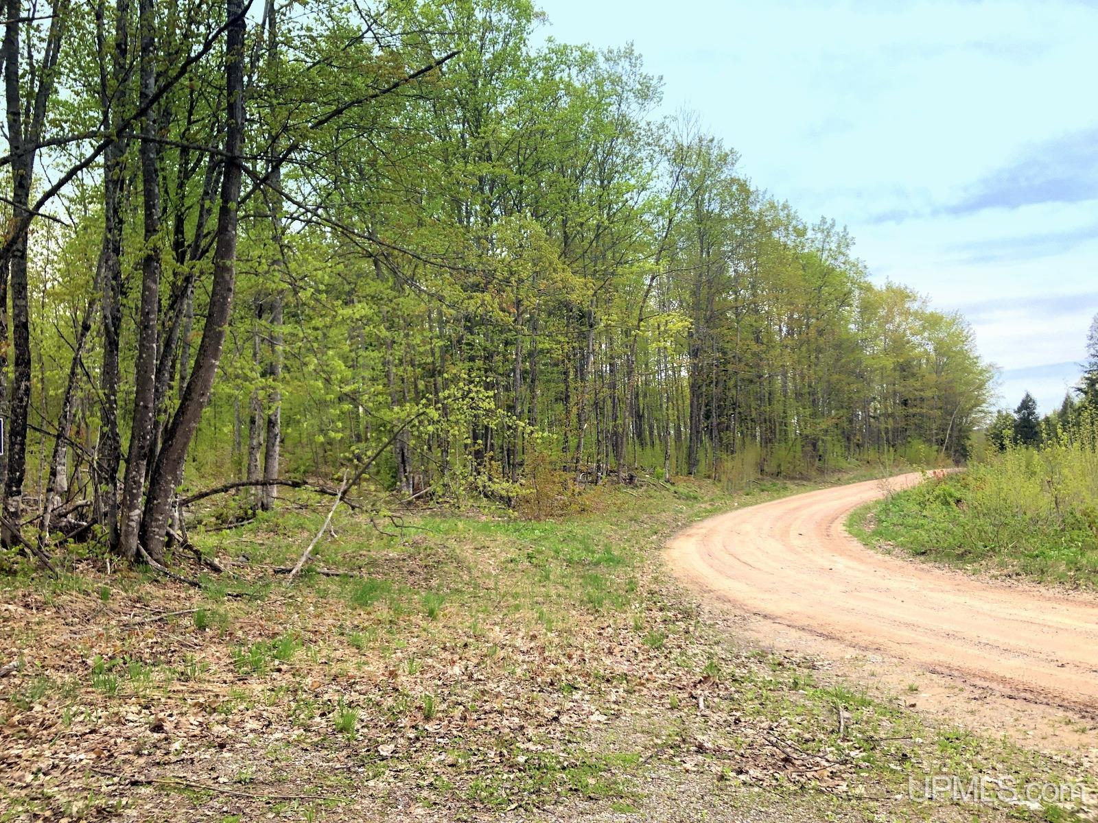 Tbd Tbd Northwestern/camp Road Ishpeming, MI 49849 - Photo 63 of 63