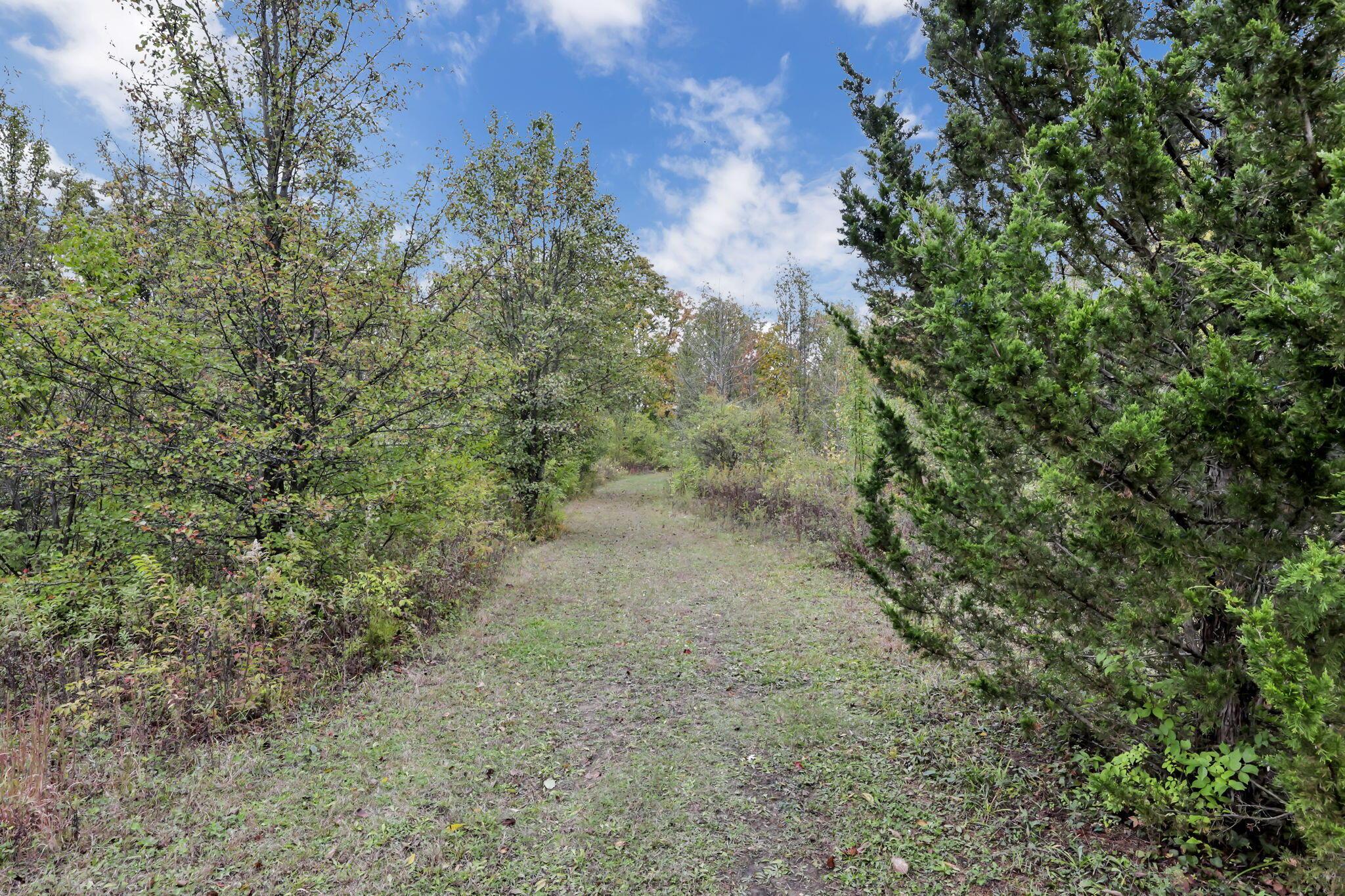 5275 Cosgray Road Dublin, OH 43016 - Photo 64 of 68 75-web-or-mls-011A8816