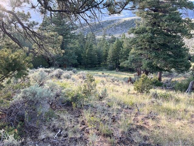 Lot 4630 Spring Road Fort Garland, CO 81133 - Photo 24 of 26 Gallery Image 24