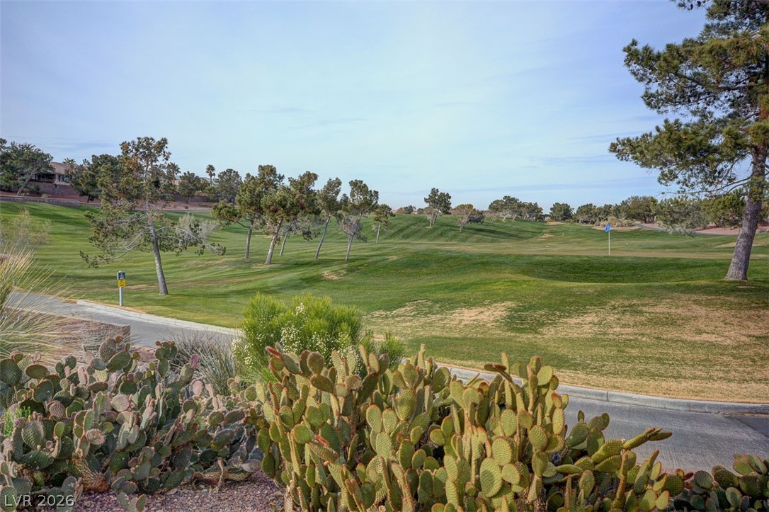 474 Edgefield Ridge Place Henderson, NV 89012 - Photo 58 of 68