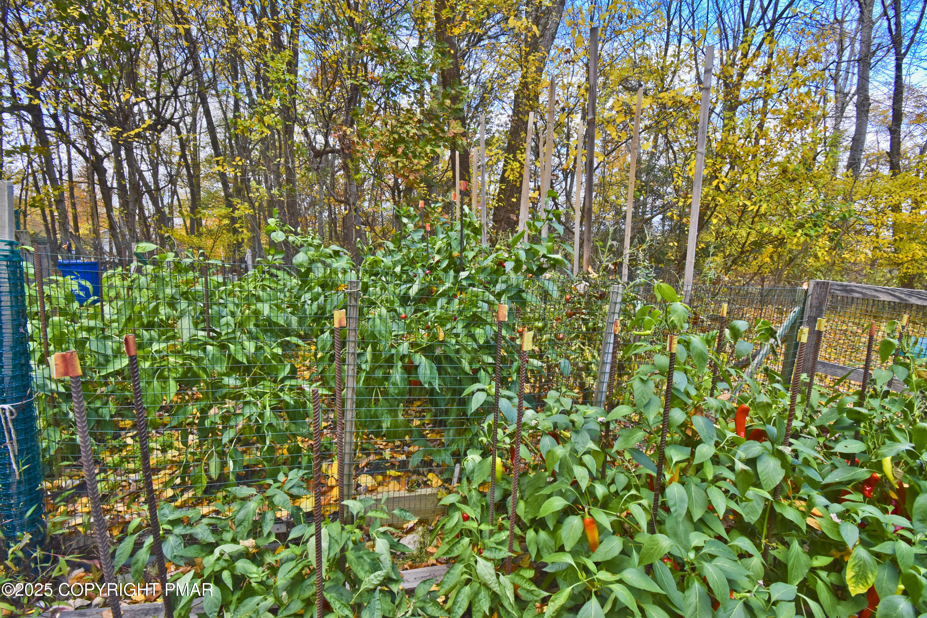 5294 Cherry Valley Road Saylorsburg, PA 18353 - Photo 41 of 53 a backyard of a house with lots of green space