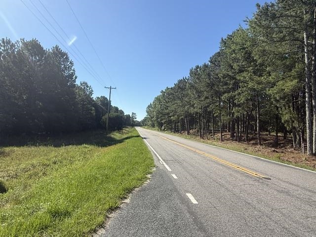 491 Crow Burk Road Pageland, SC 29728 - Photo 6 of 9