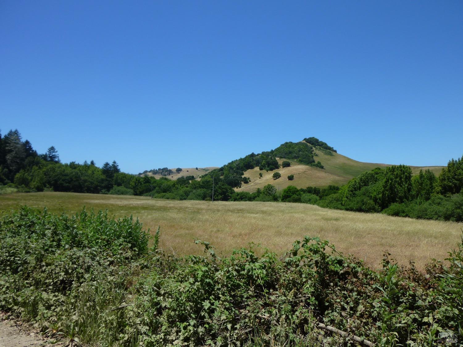 200 Rd To Ranch Nicasio, CA 94946 - Photo 15 of 37