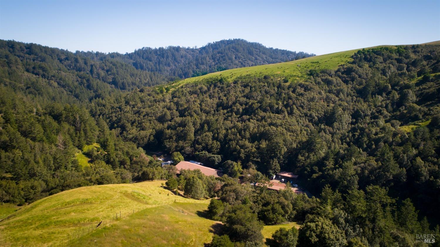 200 Rd To Ranch Nicasio, CA 94946 - Photo 28 of 37 a view of a forest with a tree
