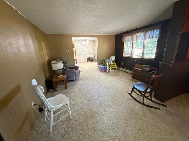 107 3rd Avenue Bellingham, MN 56212 - Photo 8 of 32
