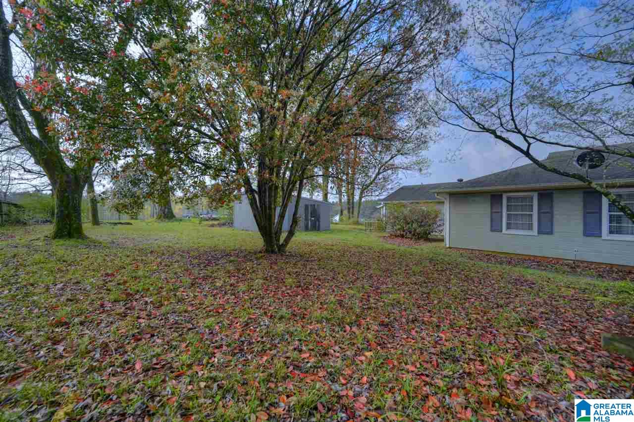 3034 Corner Road Warrior, AL 35180 - Photo 6 of 28
