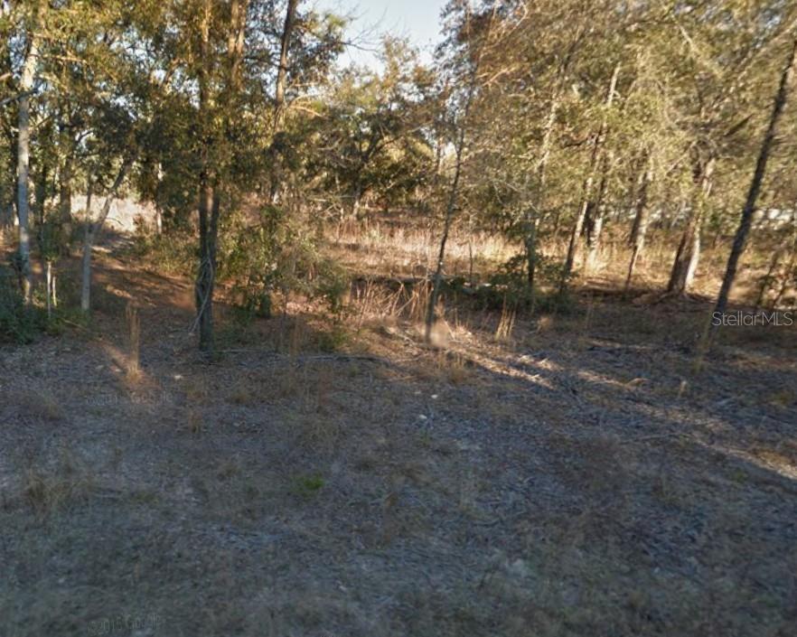 8821 Northeast 97th Court Bronson, FL 32621 - Photo 1 of 5