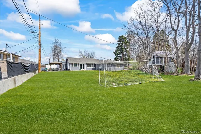 a view of a park with large trees
