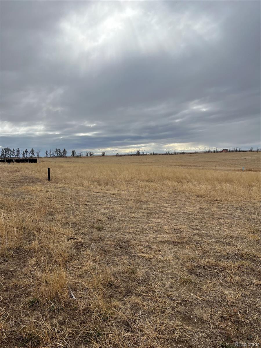 2101 Behrens Road Byers, CO 80103 - Photo 3 of 13