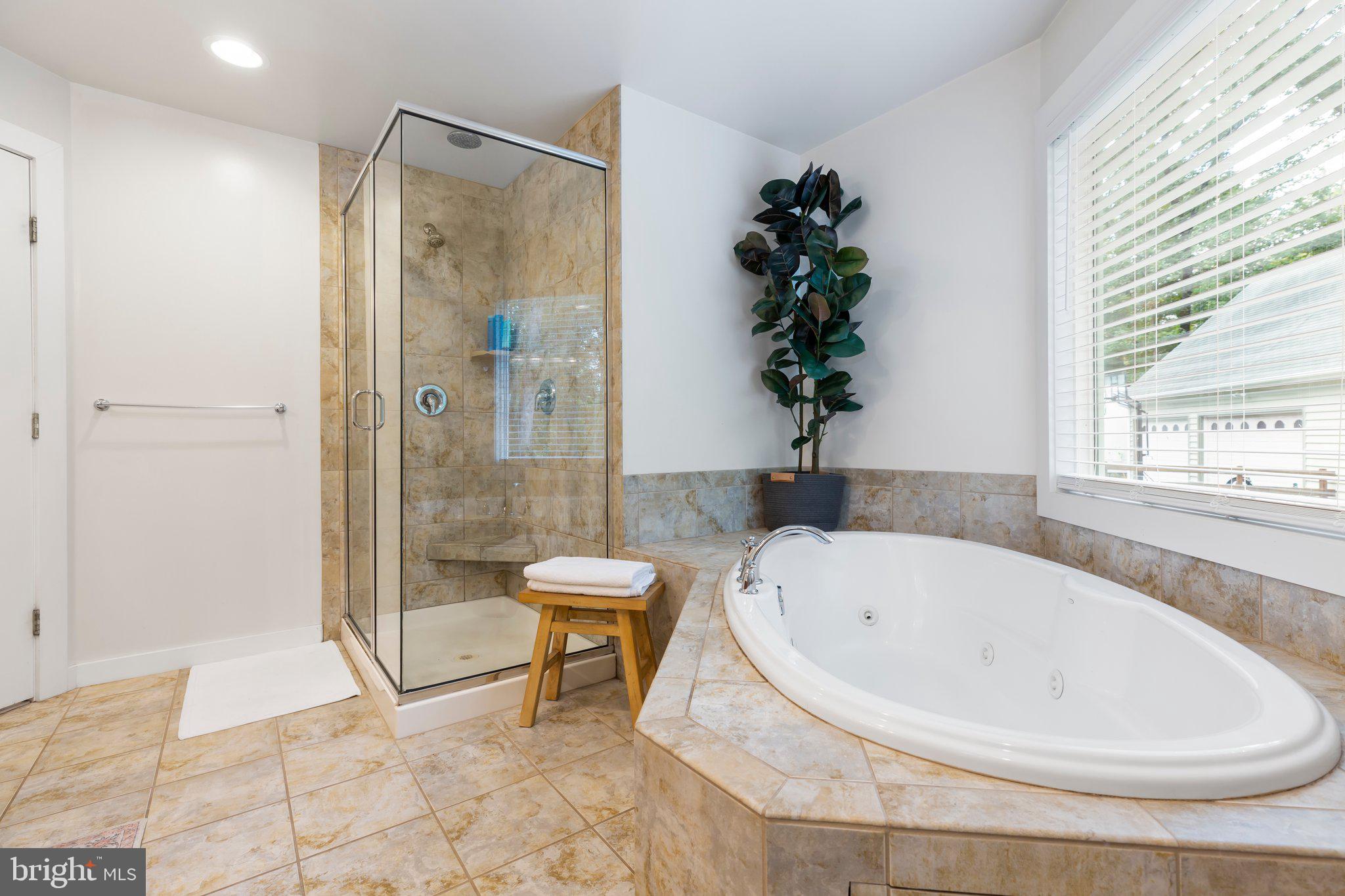 67 Hulls Chapel Road Fredericksburg, VA 22406 - Photo 23 of 53 Primary bath soaking tub