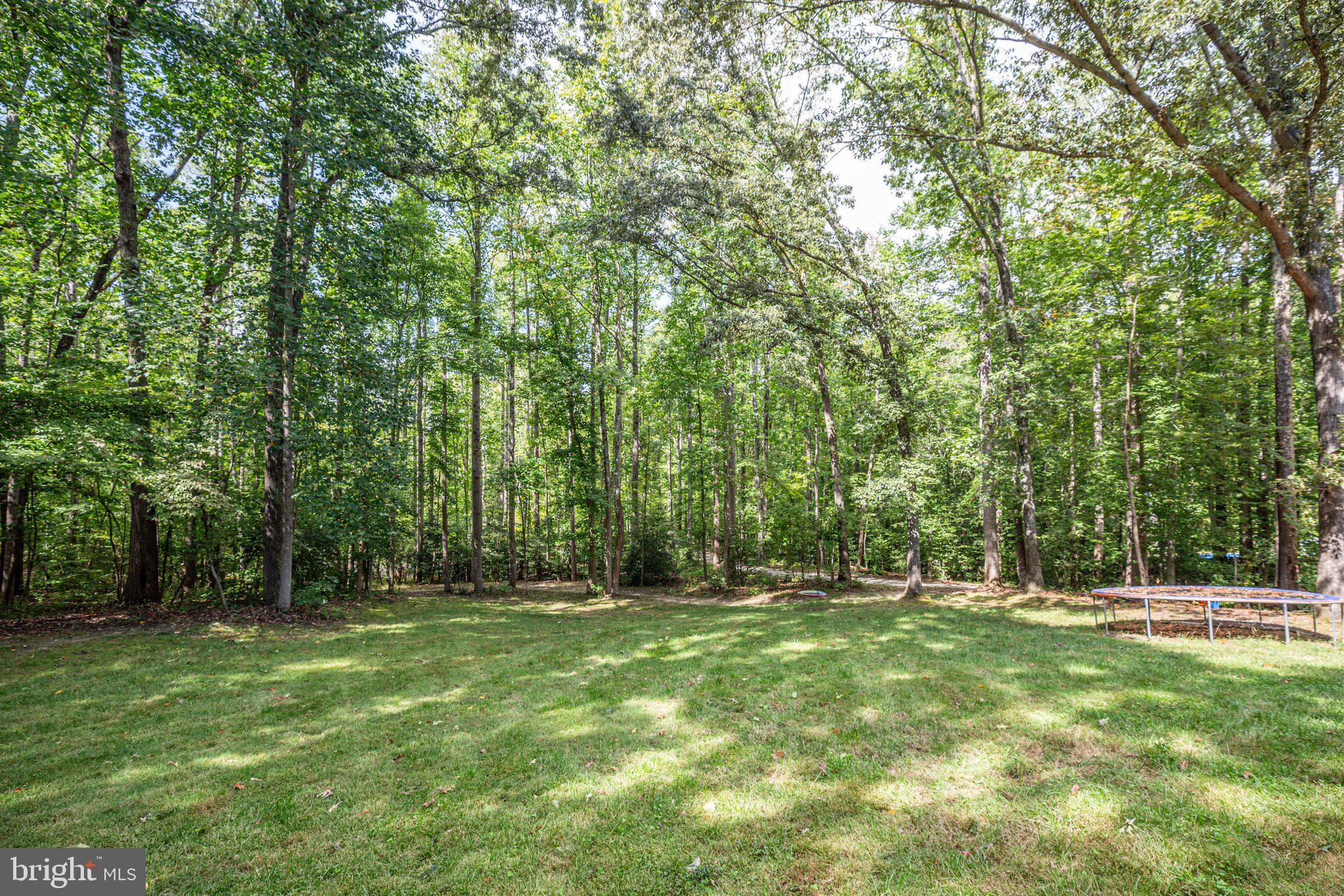 67 Hulls Chapel Road Fredericksburg, VA 22406 - Photo 44 of 53 Back yard