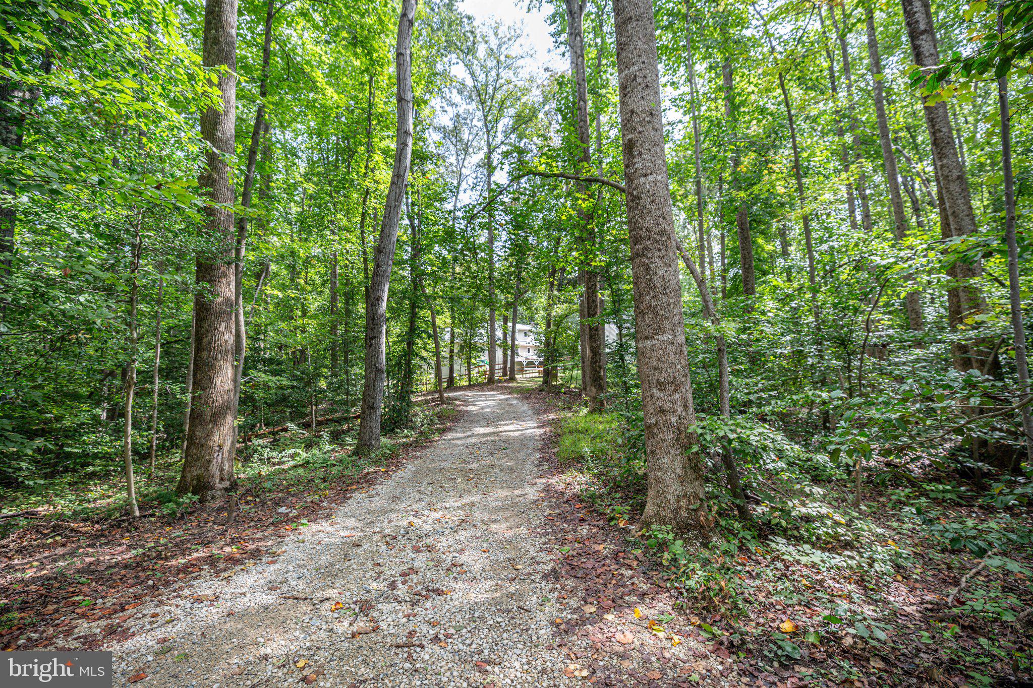 67 Hulls Chapel Road Fredericksburg, VA 22406 - Photo 48 of 53