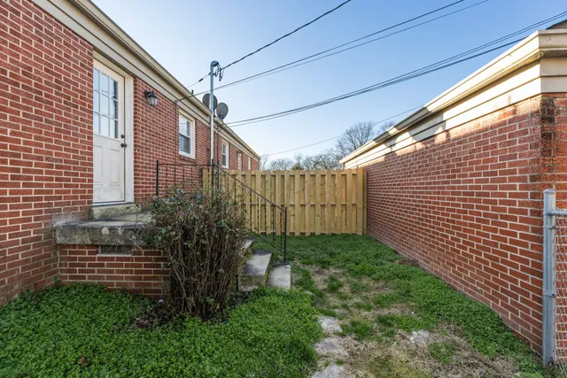 a view of a backyard with plants