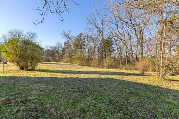 a view of yard with large tree