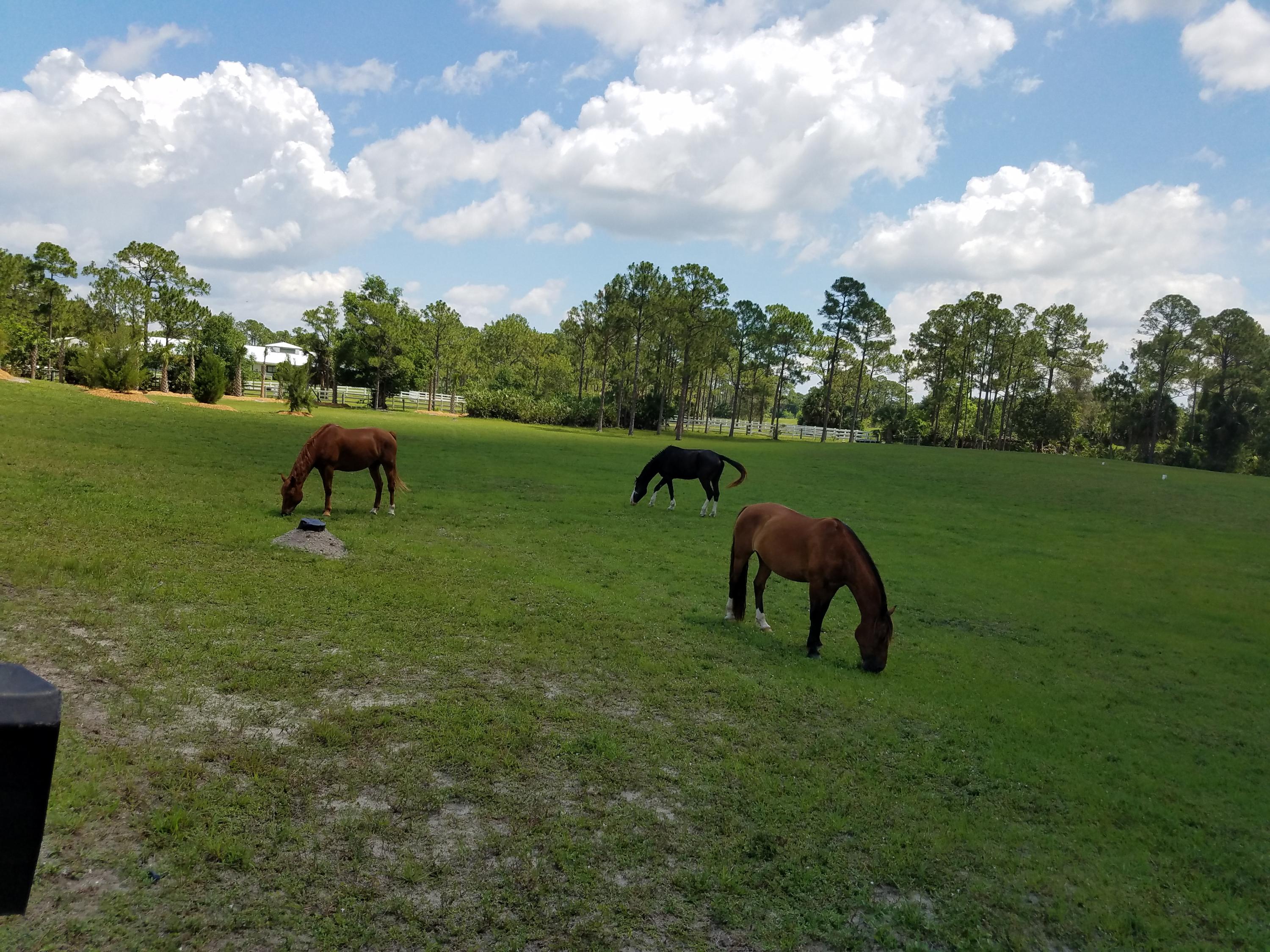 18604 Southeast Ranch Lane Jupiter, FL 33478 - Photo 8 of 9 20160524_113339_012
