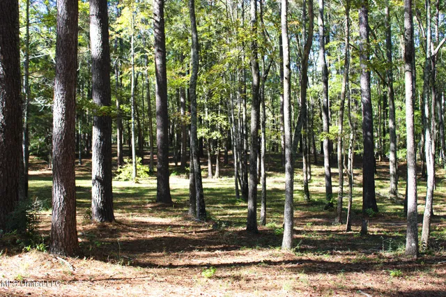 $320,000 | 7679 Highway 568, Magnolia, MS 39652