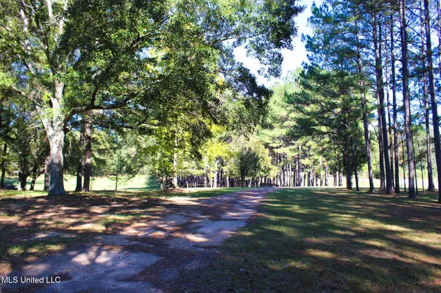 $320,000 | 7679 Highway 568, Magnolia, MS 39652