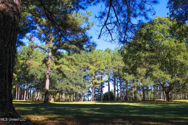 $320,000 | 7679 Highway 568, Magnolia, MS 39652