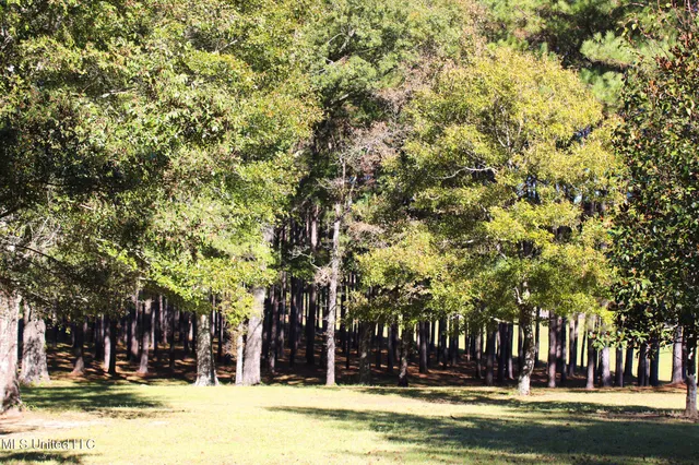 $320,000 | 7679 Highway 568, Magnolia, MS 39652