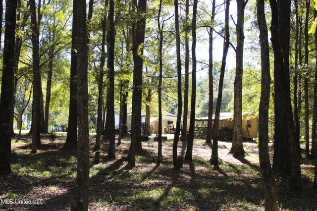 $320,000 | 7679 Highway 568, Magnolia, MS 39652